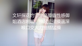 文轩探花约了个高颜值性感御姐酒店啪啪，撩起短裙摸逼深喉口交大力抽插猛操