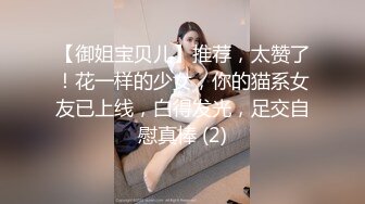 [MP4]极品馒头嫩鲍乳环热门女模终极调教，变身母狗，肛塞假屌疯狂伺候高潮尖叫