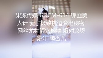 红斯灯影像 RS-013 巨乳服务生被醉客硬操 性爱酒吧的淫欲大解放