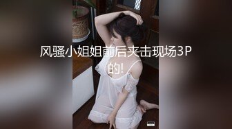 BRAZZERS公司DIRTYMASSEUR系列,(23)