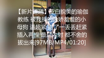 HPP-0027 柔伊 超真实搭讪性爱 巧遇多汁嫩逼女仆 辣椒原创 x 麻豆传媒映画