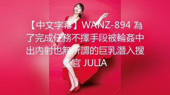 【中文字幕】WANZ-894 為了完成任務不擇手段被輪姦中出內射也無所謂的巨乳潛入搜查官 JULIA