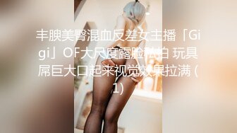 【自录】巨乳少妇【奶牛水娃-阿萧老师】孕期涨奶自产自销，欲火焚身自慰潮喷，5月直播合集【18V】 (23)