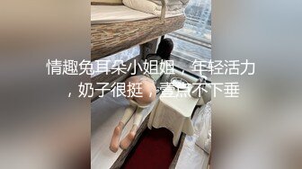 情趣兔耳朵小姐姐，年轻活力，奶子很挺，壹点不下垂