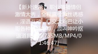 【清纯少女的交换过程】国王的游戏 第二部