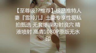 麻豆传媒 MCY0110 黑丝收藏家的秘密交易 夏禹熙