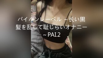 パイパンレーベル ～长い黒髪を乱して耻じらいオナニー～PAI.2