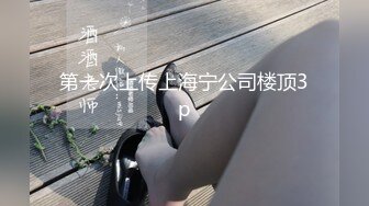 第一次上传上海宁公司楼顶3p