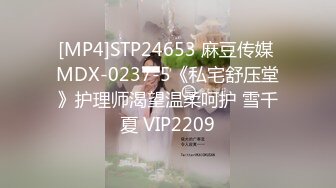 MSM-001 性愛對決修羅場 老婆与偷腥猫的双人争宠