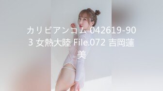 カリビアンコム 042619-903 女熱大陸 File.072 吉岡蓮美