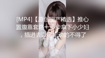 黏黏团子兔 NO.042 风纪委员大凤