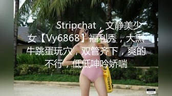 ❤️❤️Stripchat，文静美少女【Vy6868】福利秀，大黑牛跳蛋玩穴，双管齐下，爽的不行，低低呻吟娇喘