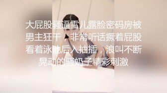 经典黑白配极品风骚翘臀OL制服高跟小骚妇，在宾馆的沙发床上让我换着花样的爆草