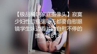 臀控熟女控必备！长腿半老徐娘【虹姐】大尺度私拍② 老骚货买了好多情趣，扭臀晃腰掰开黝黑的肥大阴唇勾引 (3)