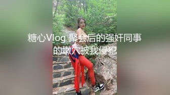 糖心Vlog 聚会后的强奸同事的嫩穴被我侵犯