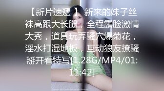 【完整版上集】狂草直男小奶狗一个小时,无套粗口调教干哭,一次一次虐操