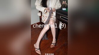 chengfei1 (9)