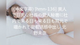 (中文字幕) [hmn-136] 美人で巨乳な社長の愛人秘書に社内で来る日も来る日も耳元で囁かれて密着誘惑中出し 北野未奈