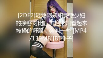 BJ叶林230811-3