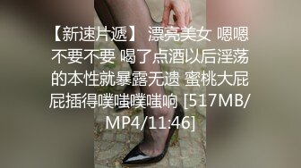 兔子先生 TZ-141 长腿女房客的诡计