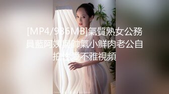 极品人妻