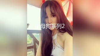 小母狗系列2