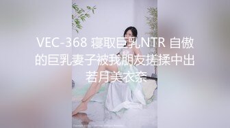 VEC-368 寝取巨乳NTR 自傲的巨乳妻子被我朋友搓揉中出 若月美衣奈