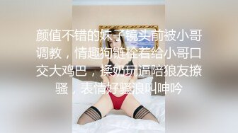 放浪传媒FX-0013线上直播甜美女主播邀约大战男粉丝