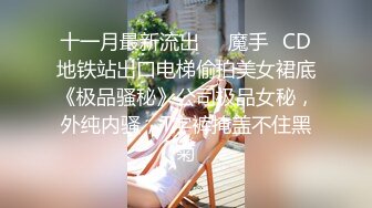 十一月最新流出❤️魔手☛CD地铁站出口电梯偷拍美女裙底《极品骚秘》公司极品女秘，外纯内骚，T字裤掩盖不住黑菊