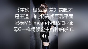 《重磅☛极品反_差》露脸才是王道！推_特高颜巨乳平面骚模MS_mean不雅私拍~像母G一样伺候金主各种啪啪 (14)