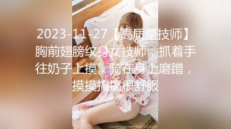 2023-11-27【高质量技师】胸前翅膀纹身女技师，抓着手往奶子上摸，骑在身上磨蹭，摸摸搞搞很舒服