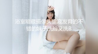 秘密女搜查官 朝日奈あかり