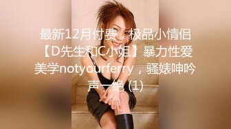 最新12月付费，极品小情侣【D先生和C小姐】暴力性爱美学notyourferry，骚婊呻吟声一绝 (1)