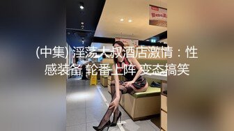 (中集) 淫荡大叔酒店激情：性感装备 轮番上阵 变态搞笑