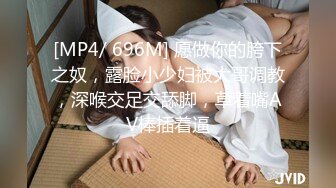 [HJ-026] 隠撮 女教師おしっこ 3 12時限目