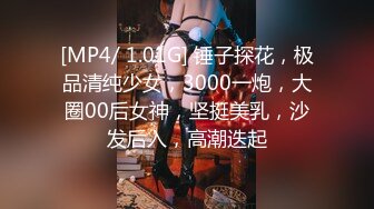 [MP4/ 1.01G] 锤子探花，极品清纯少女，3000一炮，大圈00后女神，坚挺美乳，沙发后入，高潮迭起