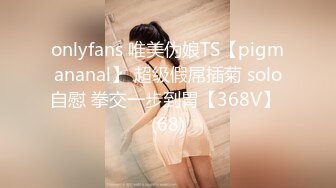 onlyfans 唯美伪娘TS【pigmananal】 超级假屌插菊 solo自慰 拳交一步到胃【368V】 (68)