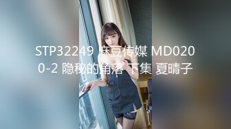 STP32249 麻豆传媒 MD0200-2 隐秘的角落 下集 夏晴子