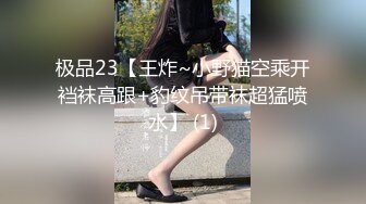 极品23【王炸~小野猫空乘开裆袜高跟+豹纹吊带袜超猛喷水】 (1)