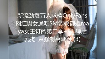 新流劲爆万人求档OnlyFans网红男女通吃SM调教御姐maya女王订阅第二季~绳_缚虐乳拘_束强制高潮鞭 (3)