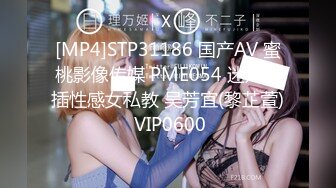 [MP4]國產AV 麻豆傳媒 MKYTN002 後入風騷美臀小姨 夏晴子