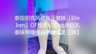 泰国朋克风纹身牙套妹「Elle Iren」OF性爱私拍 微胖巨乳泰妹榨精瘦弱男友【第三弹】