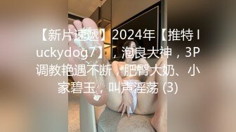 【新片速遞】2024年【推特 luckydog7】，泡良大神，3P调教艳遇不断，肥臀大奶、小家碧玉，叫声淫荡 (3)