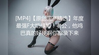 Pony-巨乳女秘书