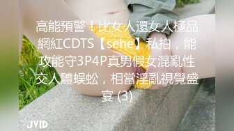 高能預警！比女人還女人極品網紅CDTS【sehe】私拍，能攻能守3P4P真男假女混亂性交人體蜈蚣，相當淫亂視覺盛宴 (3)