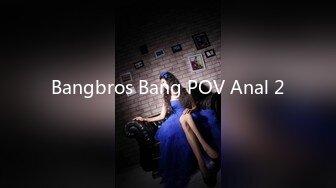 Bangbros Bang POV Anal 2