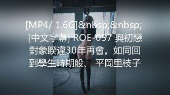 [MP4/ 1.6G]&nbsp;&nbsp; [中文字幕] ROE-057 與初戀對象睽違30年再會。如同回到學生時期般、 平岡里枝子